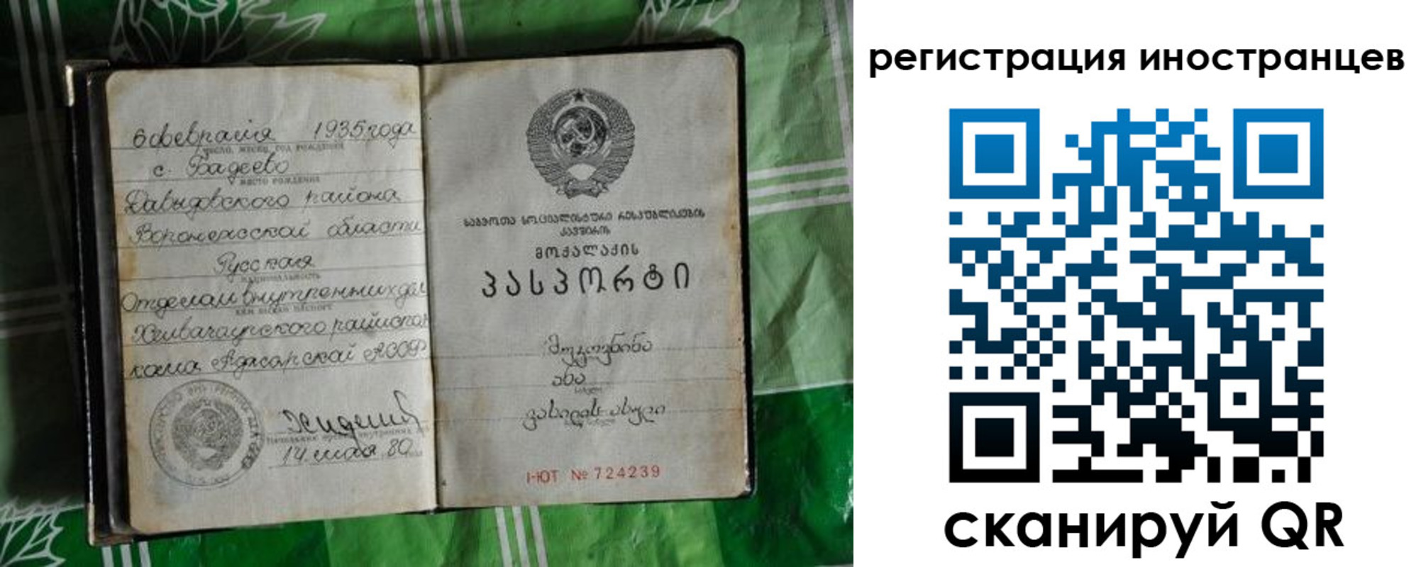 где прописаться в Стародубе